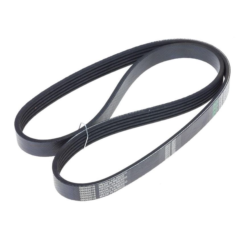 INA FB5K402 INA BDC FEAD multi V-Belt
