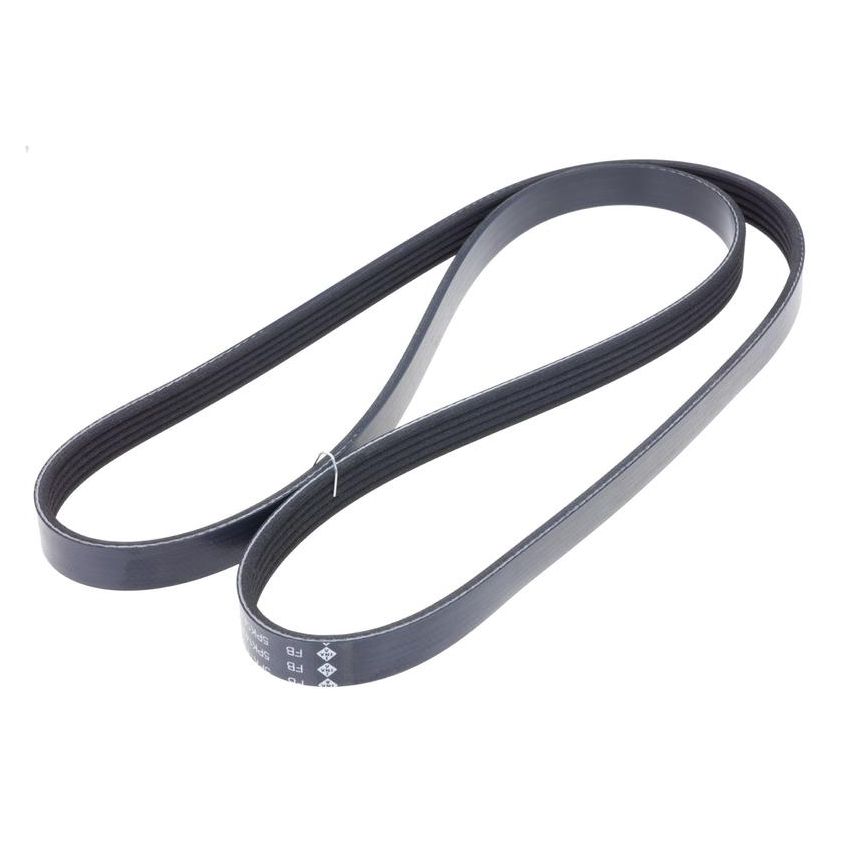 INA FB5K565 INA BDC FEAD multi V-Belt