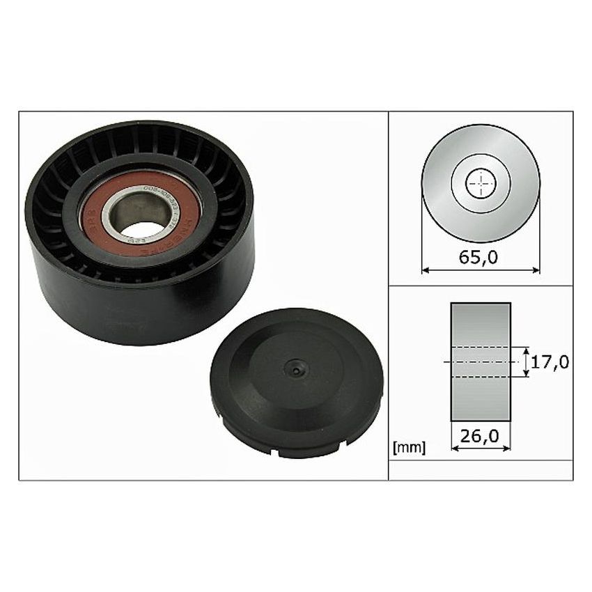INA FP05571 INA BDC FEAD pulley