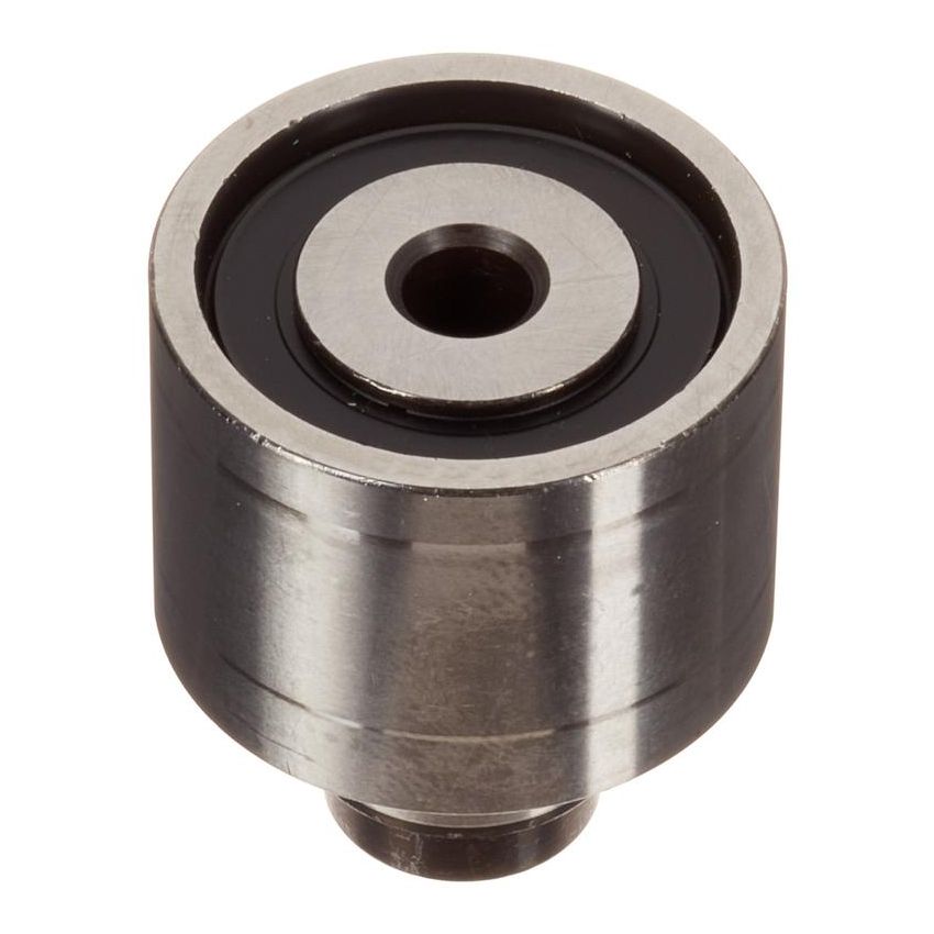 INA ZP06231 INA BDC TBD pulley