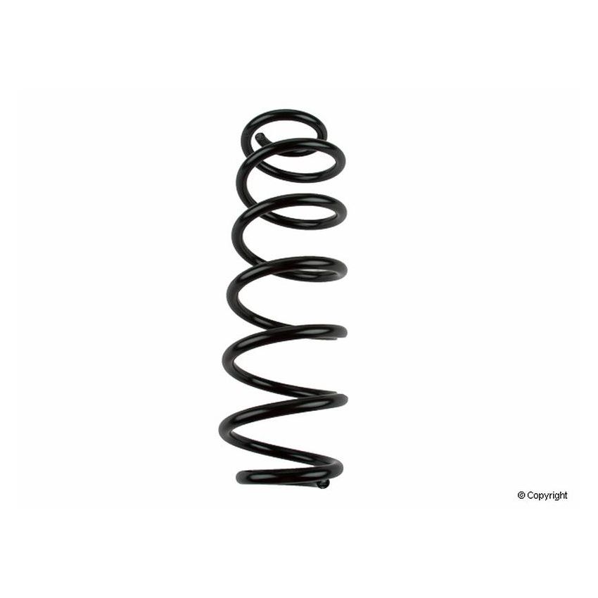 LESJOFORS 4295038 One Rear Coil Spring