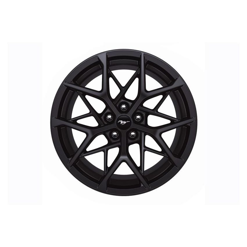 Ford Racing M-1007K-MACH1H 2015-2023 Mustang Mach 1 19