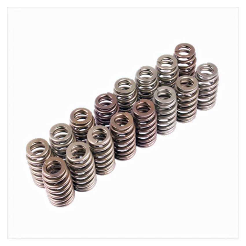 Ford Racing M-6513-M50BR Boss 302R Valve Spring Kit