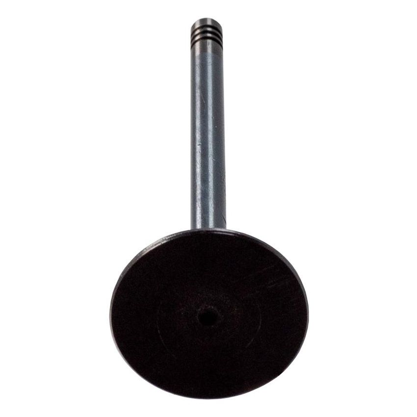 Melling V1901 Stock Replacement Intake Valve