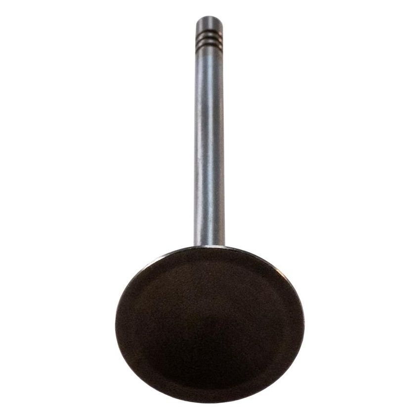Melling V1920 Stock Replacement Intake Valve