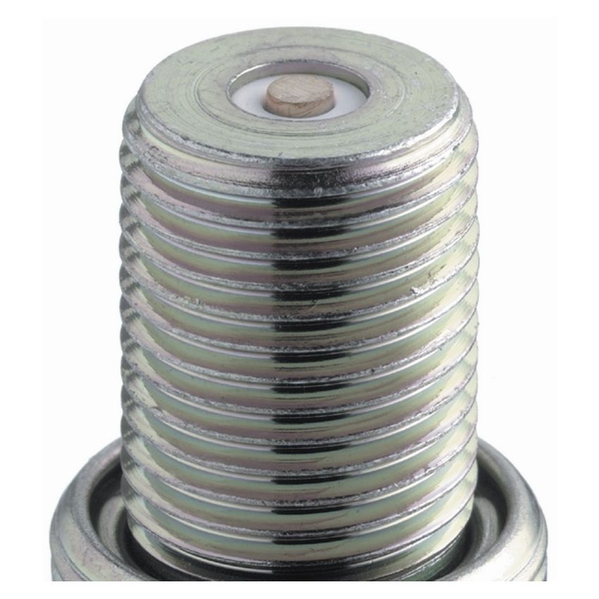 NGK 4017 NGK Racing Spark Plug