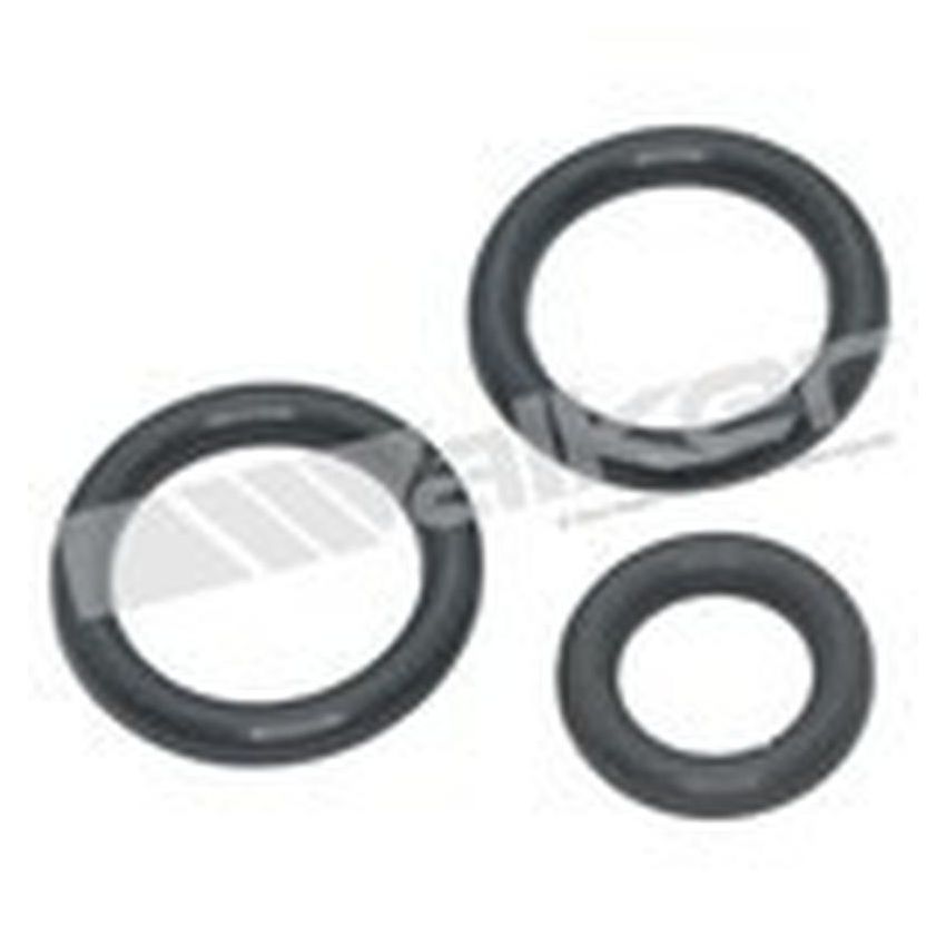 Walker Products 17191 Walker Products 17191 Fuel Injection Fuel Rail O-Ring Kit