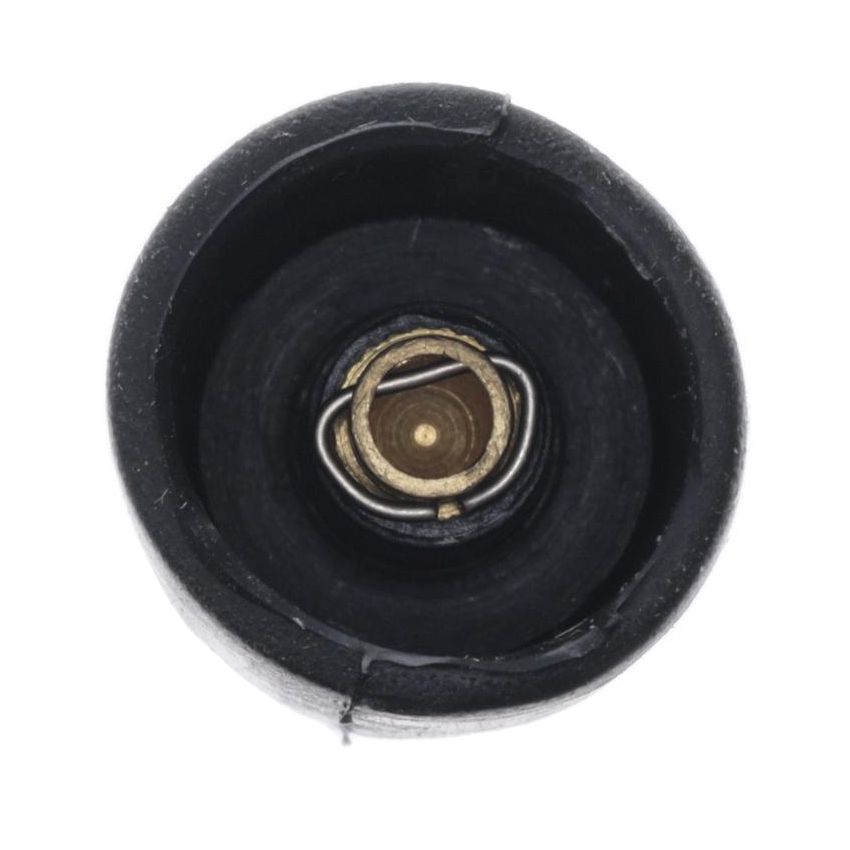 Walker Products 900-P2021 ThunderCore PRO 900-P2021 Coil Boot