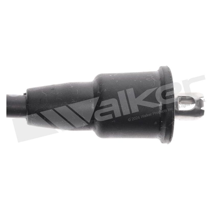 Walker Products 924-1606 ThunderCore PRO 924-1606 Spark Plug Wire Set