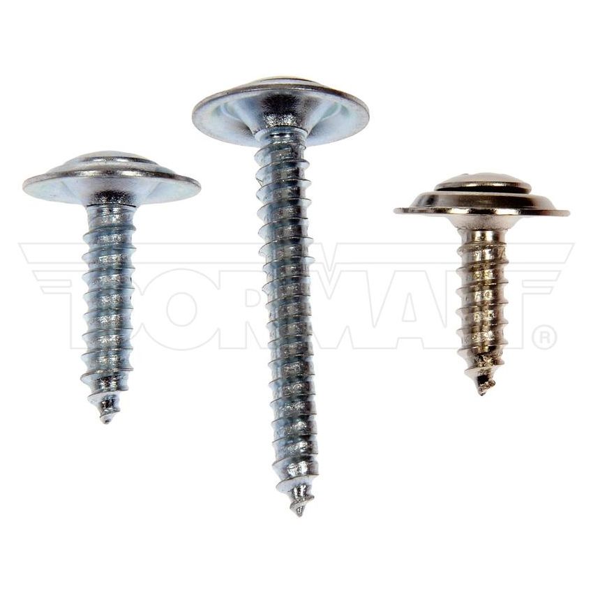 DORMAN 961-225D Trim Screw Assortment - Chrome - No.8 X 5/8 In., 3/4 In., 1 In., 1-1/4 In.