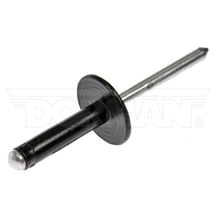 DORMAN 963-205D GM Blind Rivet Retainer - Diameter 3/16 In.