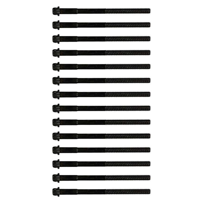 Victor Reinz 14-32001-01 Engine Cylinder Head Bolt Set