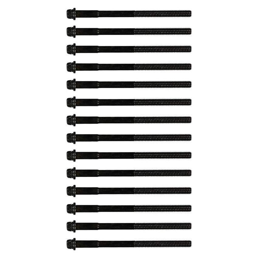 Victor Reinz 14-32001-01 Engine Cylinder Head Bolt Set