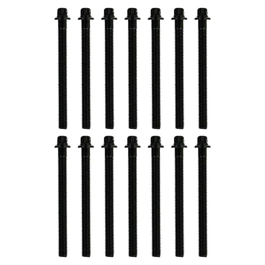 Victor Reinz 14-32005-02 Engine Cylinder Head Bolt Set