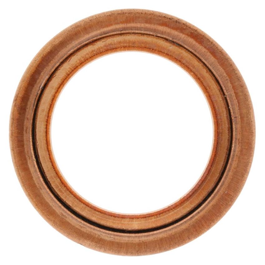 Victor Reinz 41-72005-30 Engine Valve Cover Bolt O-Ring