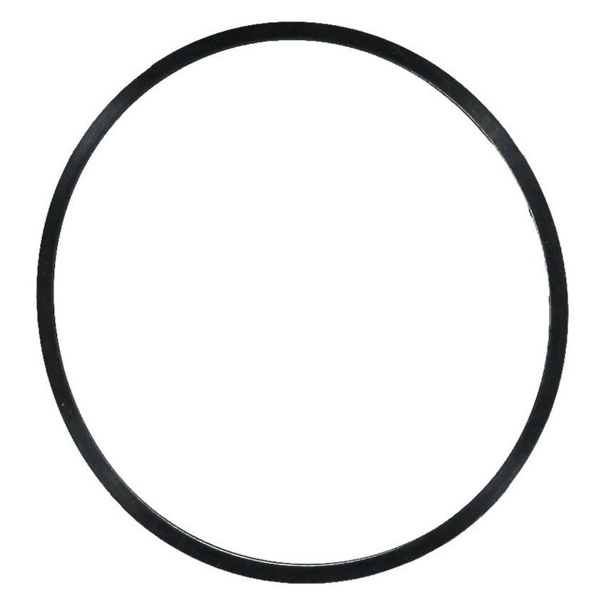 Victor Reinz 41-77548-00 Engine Coolant Thermostat Housing Gasket