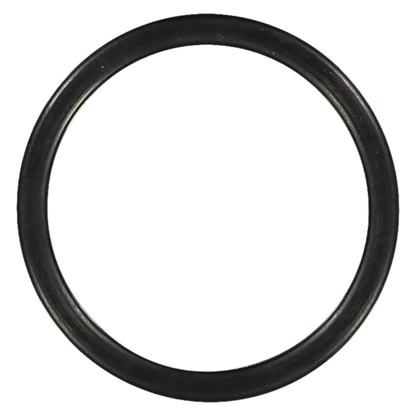 Victor Reinz 71-31308-00 Engine Coolant Thermostat Housing Seal