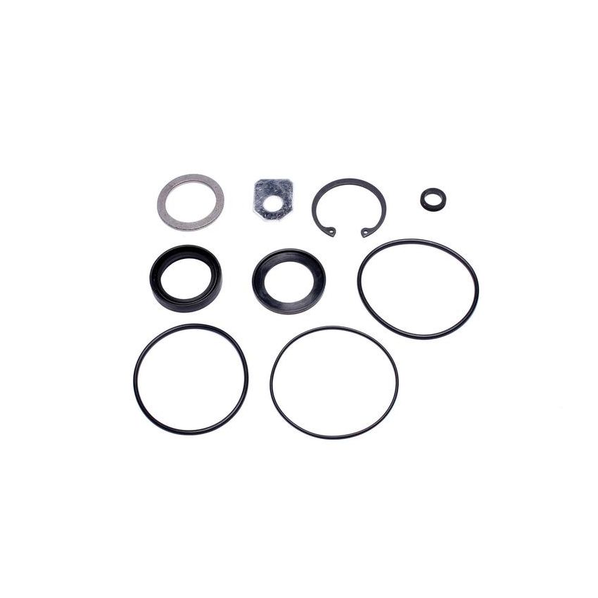 SUNSONG 8401189 Steering Gear Pitman Shaft Seal Kit