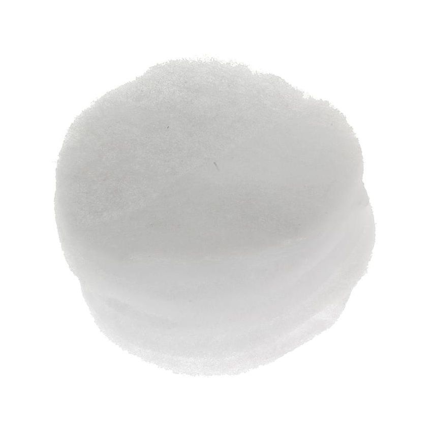 Standard Ignition CF-1 Fuel Vapor Canister Filter