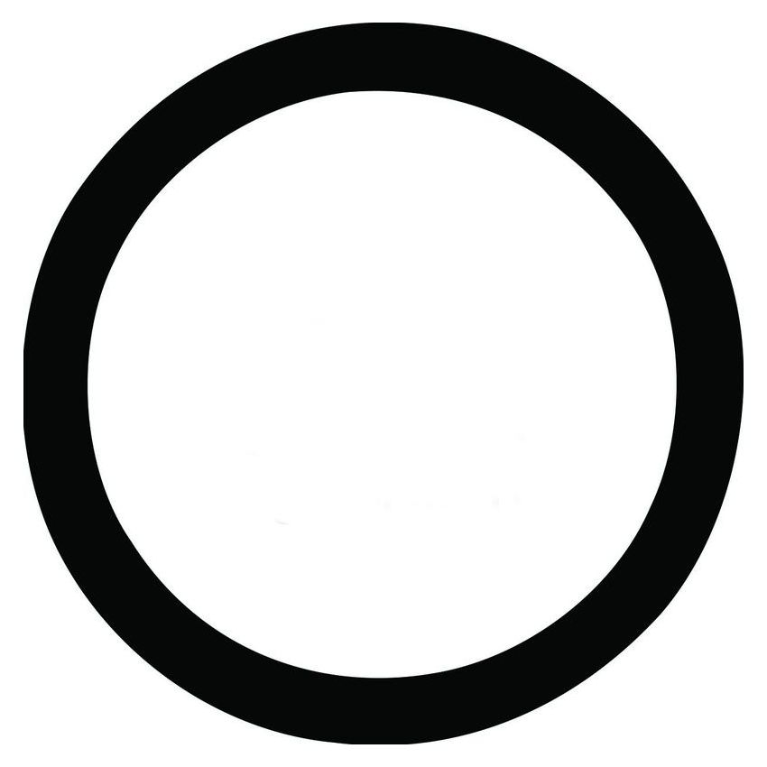 STANT GAS CAPS 27282 Stant Engine Coolant Thermostat Seal