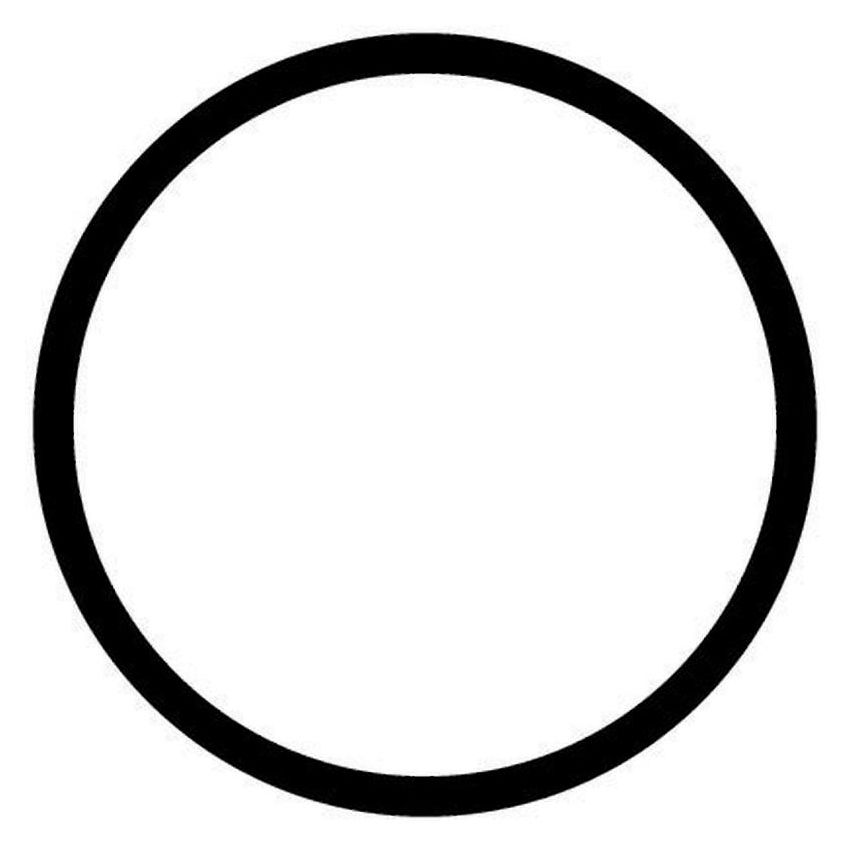 STANT GAS CAPS 27290 Stant Engine Coolant Thermostat Seal