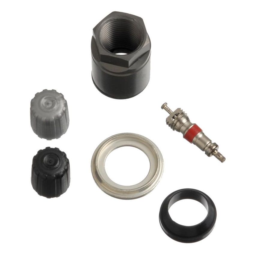 SCHRADER VALVES 20017-25 TPMS Service Pk - Clamp-In - 25 Pk