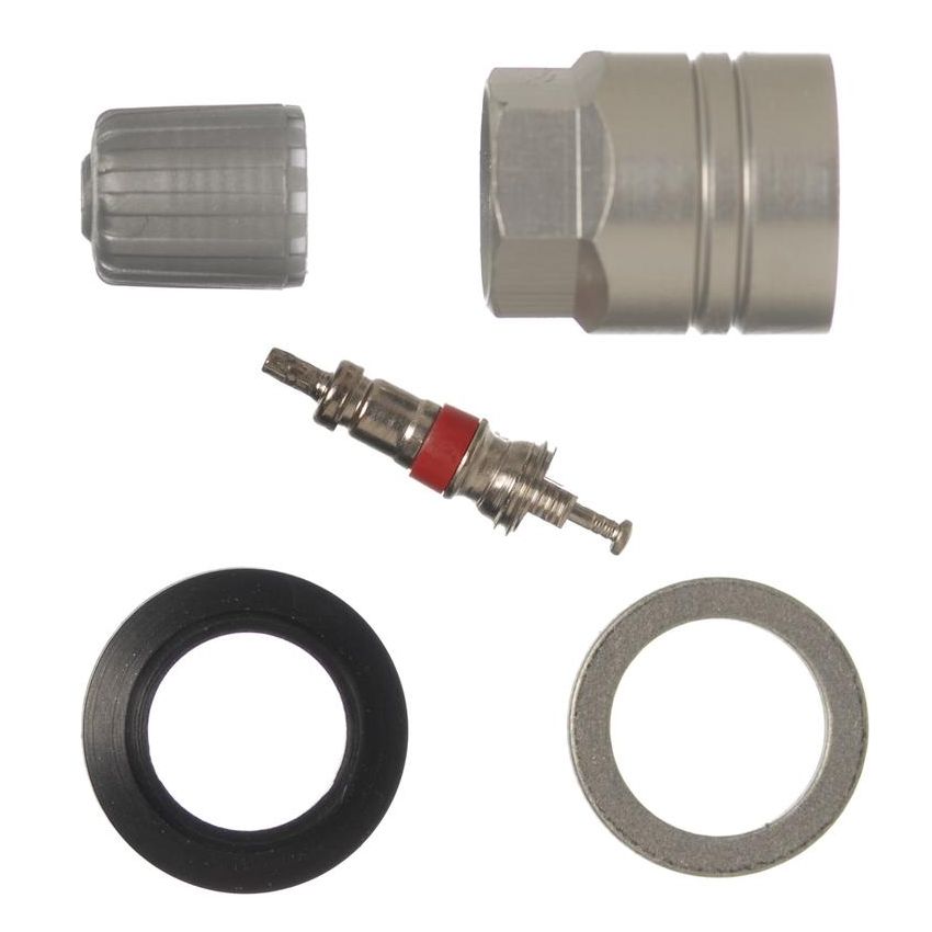 SCHRADER VALVES 20019-10 TPMS Service Pk - Clamp-In - 10 Pk