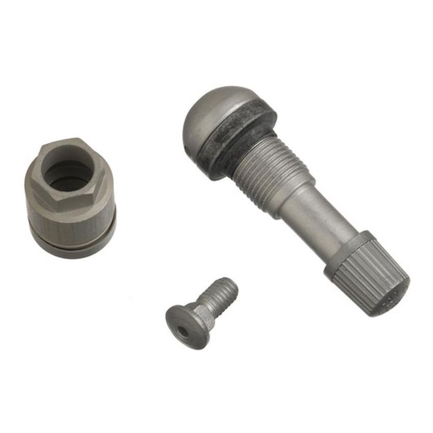 SCHRADER VALVES 20036 TPMS Service Kit 20036 (Clamp-in Components)