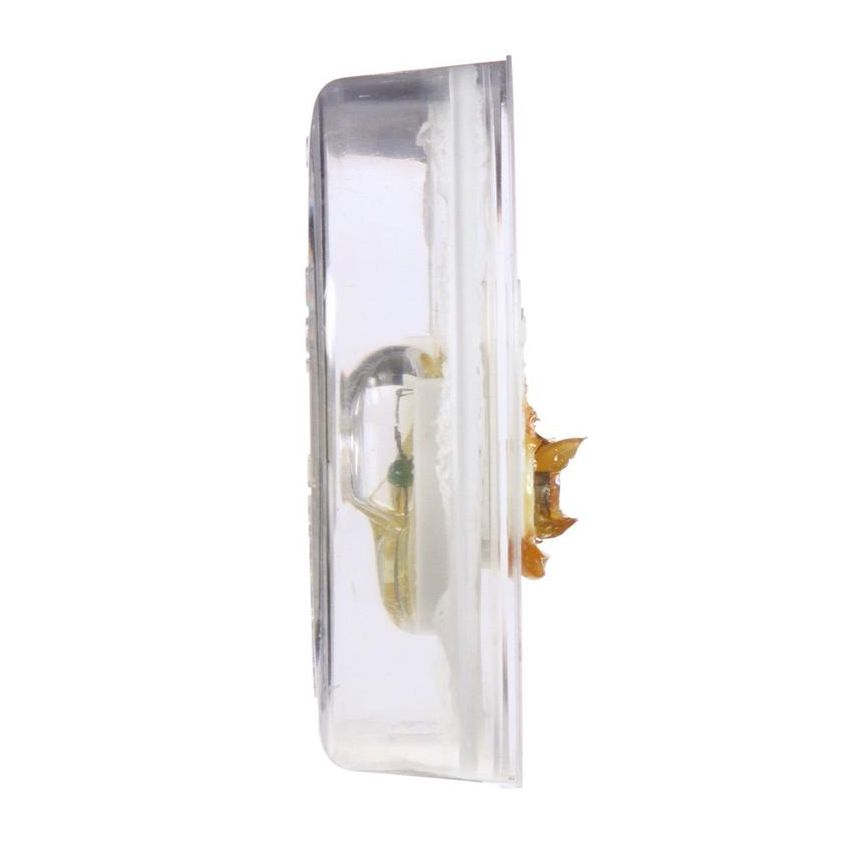 TRUCK-LITE 10202C 10 Series, Incandescent, 2.5