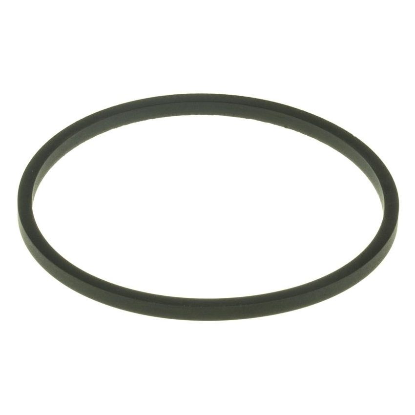 MotoRad MG186EA Engine Coolant Thermostat Seal