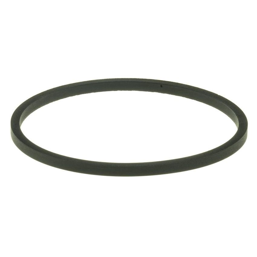 MotoRad MG186EA Engine Coolant Thermostat Seal