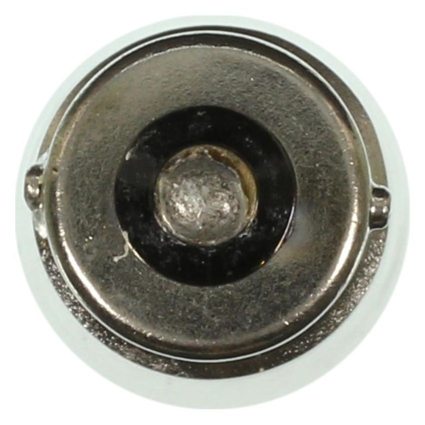 WAGNER LIGHTING 1003 Standard Multi-Purpose Light Bulb Box of 10