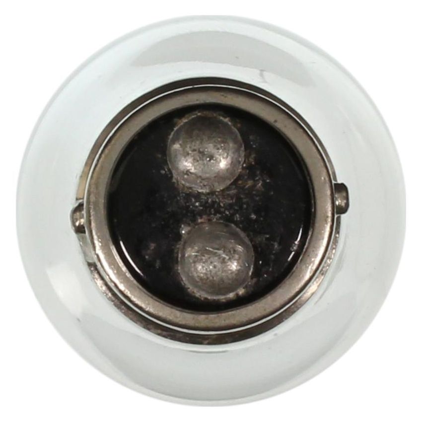 WAGNER LIGHTING 1016 Standard Multi-Purpose Light Bulb Box of 10