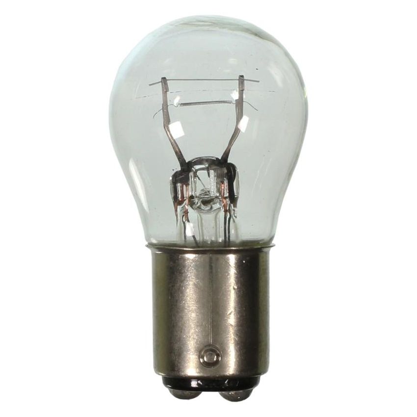 WAGNER LIGHTING 1016 Standard Multi-Purpose Light Bulb Box of 10