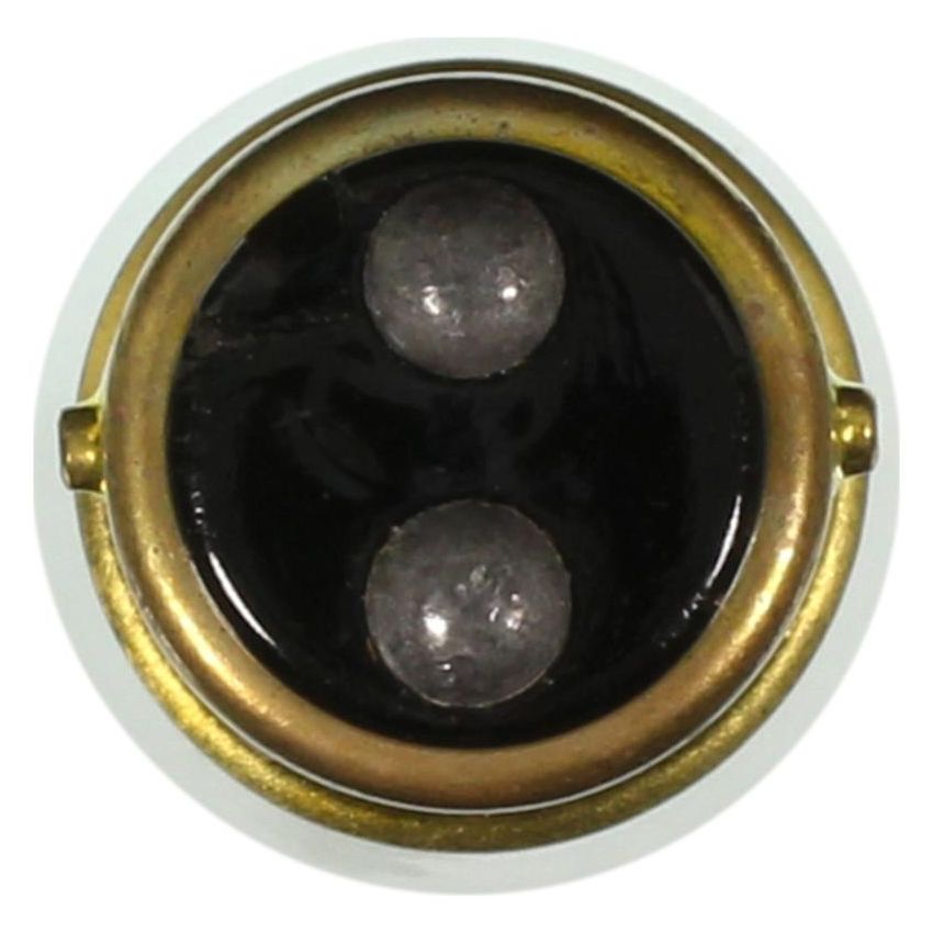 WAGNER LIGHTING 104 Standard Multi-Purpose Light Bulb Box of 10