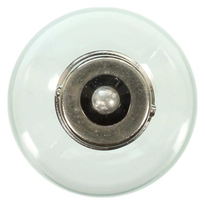 WAGNER LIGHTING 1195 Standard Multi-Purpose Light Bulb Box of 10