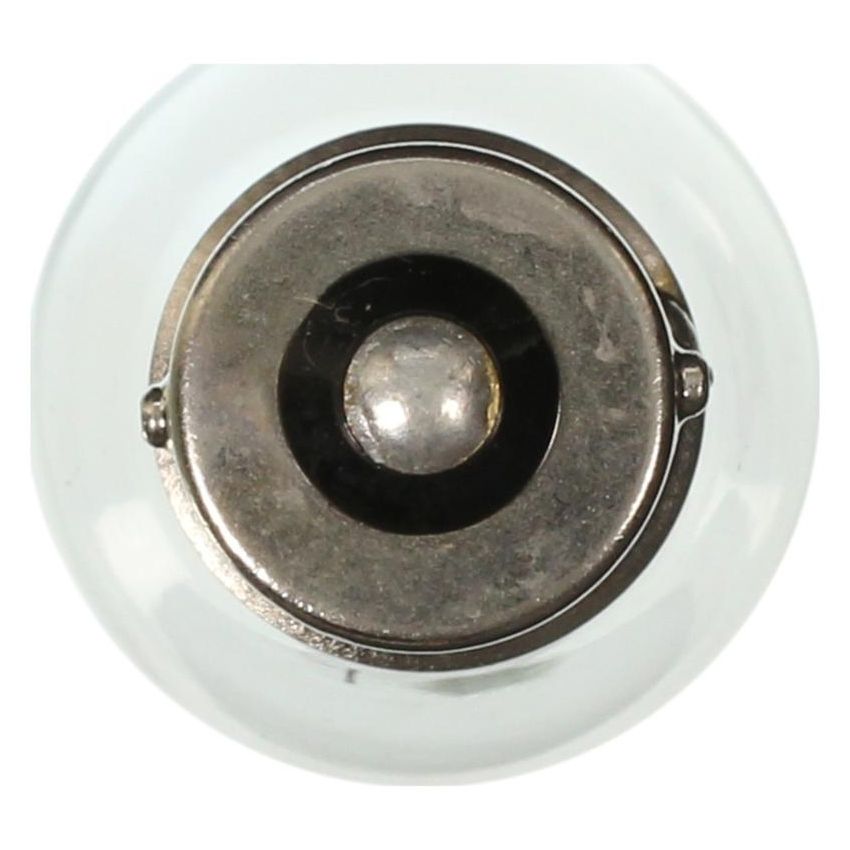 WAGNER LIGHTING 1203 Standard Multi-Purpose Light Bulb Box of 10