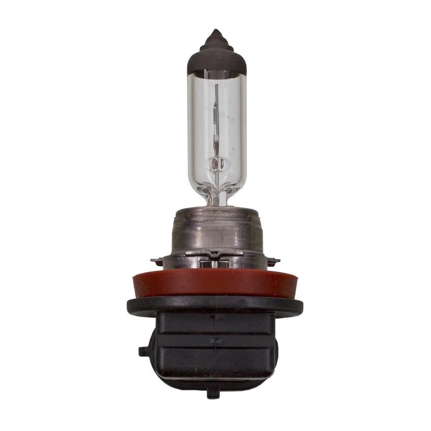 WAGNER LIGHTING 1219/H16 Standard Multi-Purpose Light Bulb