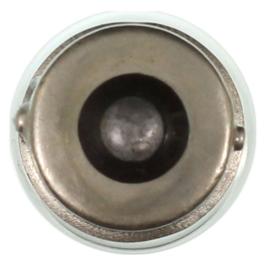 WAGNER LIGHTING 1251 Standard Multi-Purpose Light Bulb Box of 10