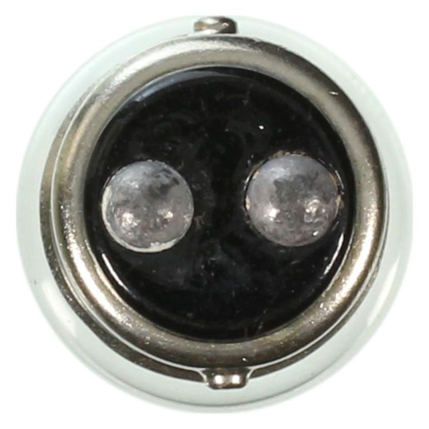 WAGNER LIGHTING 1252 Standard Multi-Purpose Light Bulb Box of 10