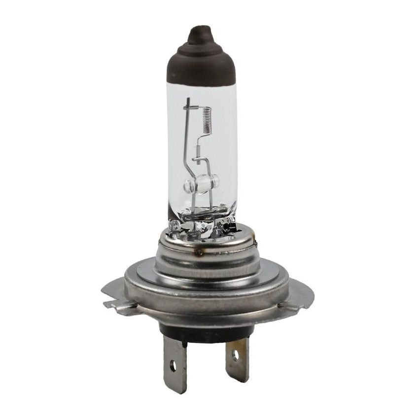 WAGNER LIGHTING 1255/H7LL Long Life Multi-Purpose Light Bulb