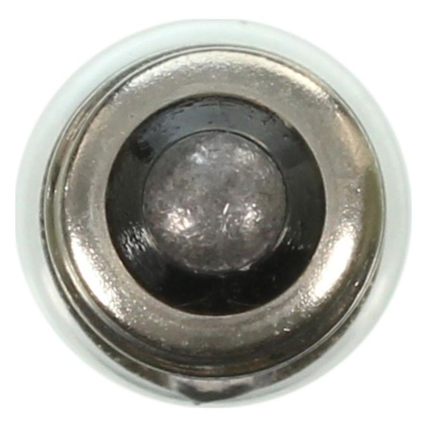 WAGNER LIGHTING 1449 Standard Multi-Purpose Light Bulb Box of 10