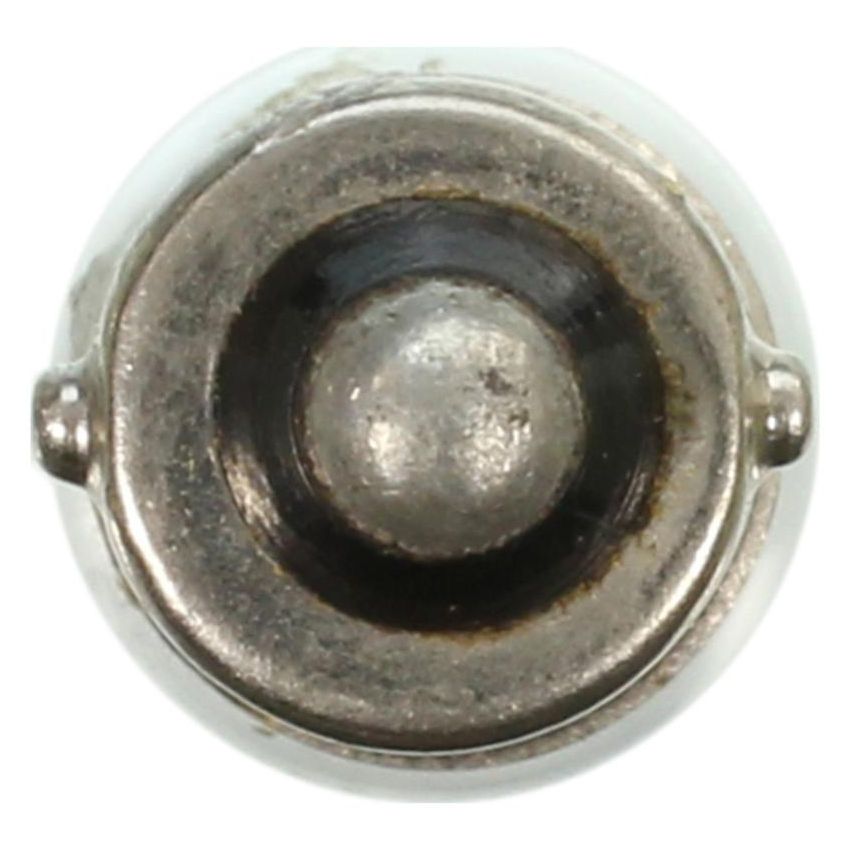 WAGNER LIGHTING 1450 Standard Multi-Purpose Light Bulb Box of 10