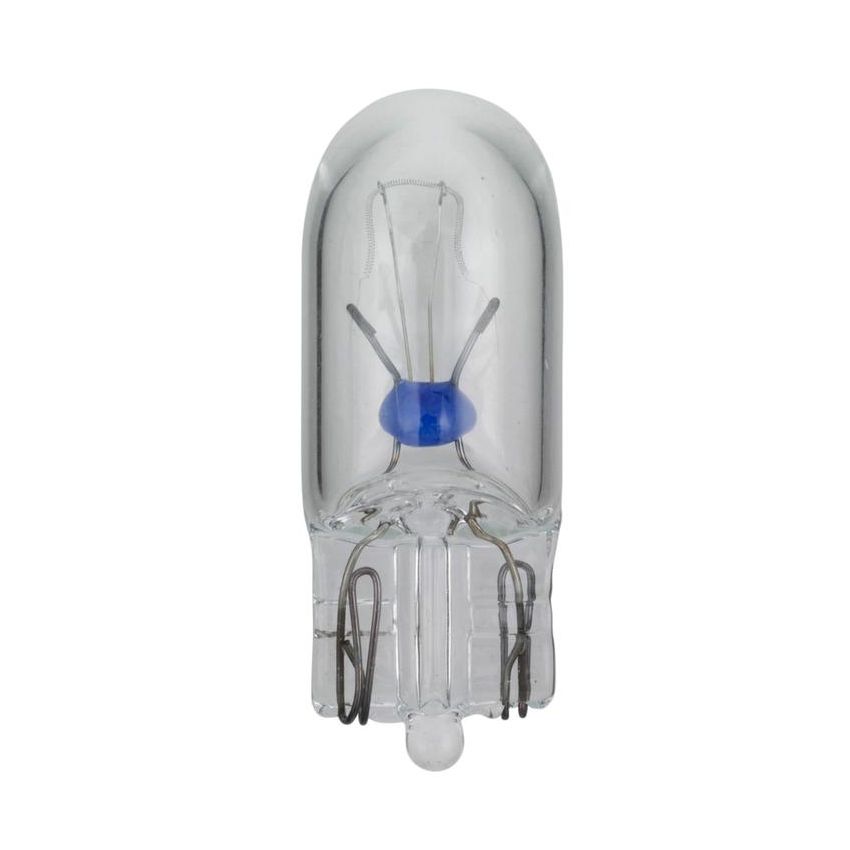 WAGNER LIGHTING 161 Standard Multi-Purpose Light Bulb Box of 10