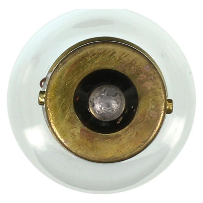 WAGNER LIGHTING 1683 Standard Multi-Purpose Light Bulb Box of 10