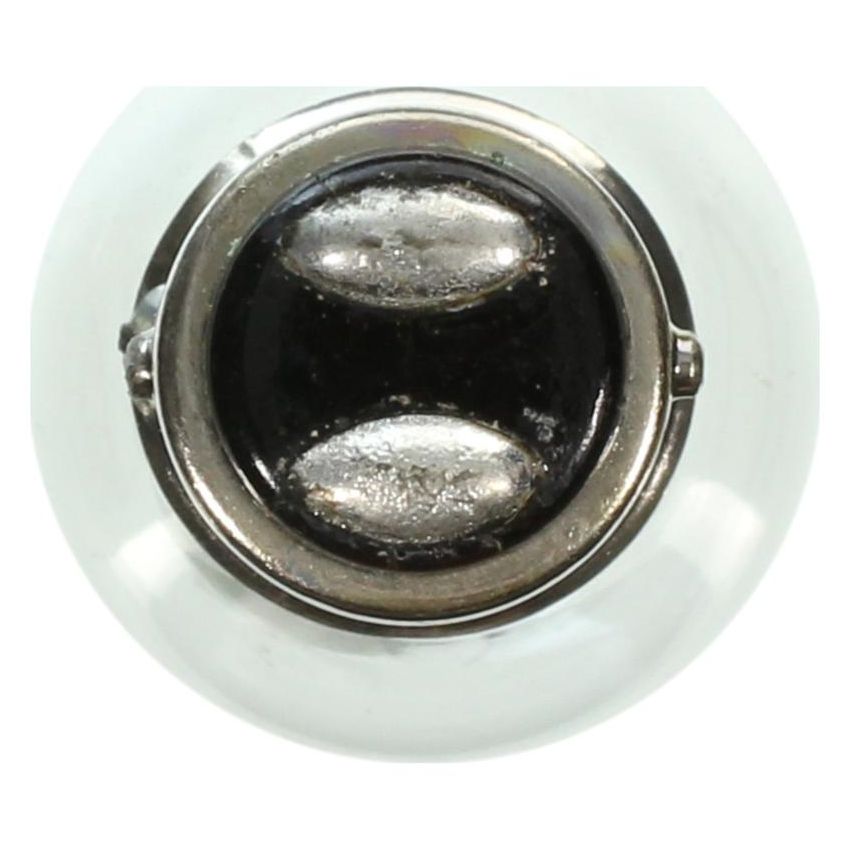 WAGNER LIGHTING 17916 Standard Multi-Purpose Light Bulb Box of 10