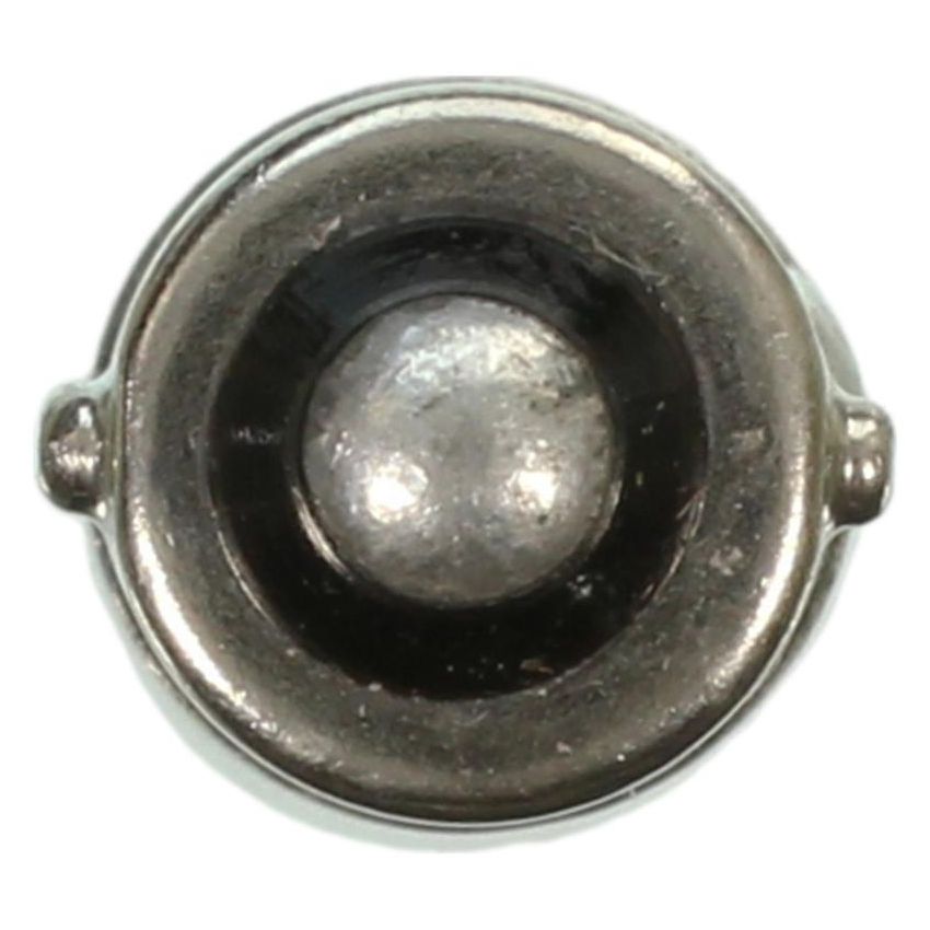 WAGNER LIGHTING 1815 Standard Multi-Purpose Light Bulb Box of 10