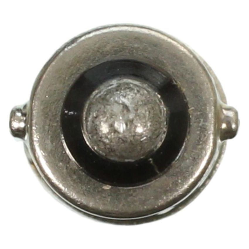 WAGNER LIGHTING 1889 Standard Multi-Purpose Light Bulb Box of 10