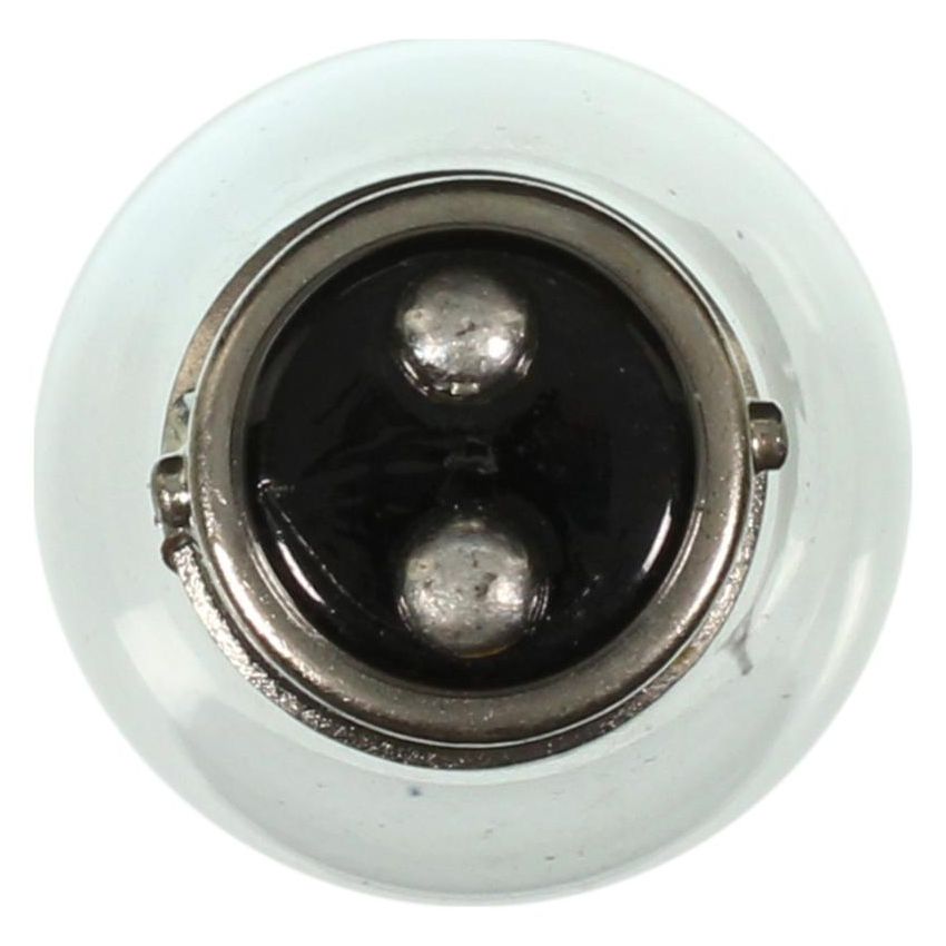 WAGNER LIGHTING 198 Standard Multi-Purpose Light Bulb Box of 10