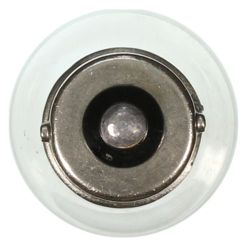 WAGNER LIGHTING 199 Standard Multi-Purpose Light Bulb Box of 10